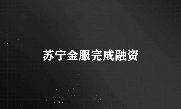 苏宁金服完成融资