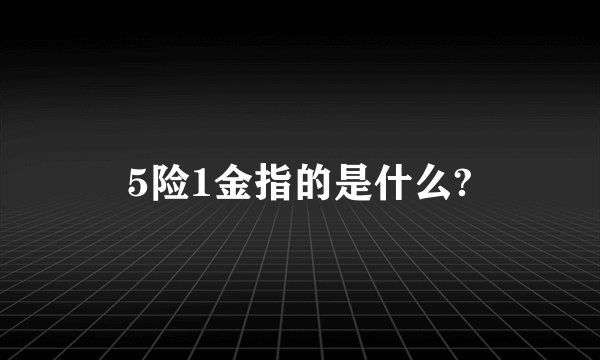 5险1金指的是什么?