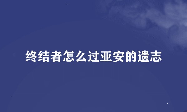 终结者怎么过亚安的遗志