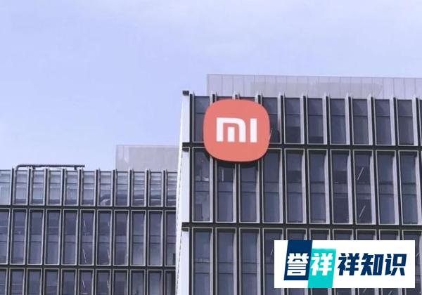 小米科技为何被强制执行？