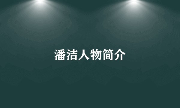 潘洁人物简介