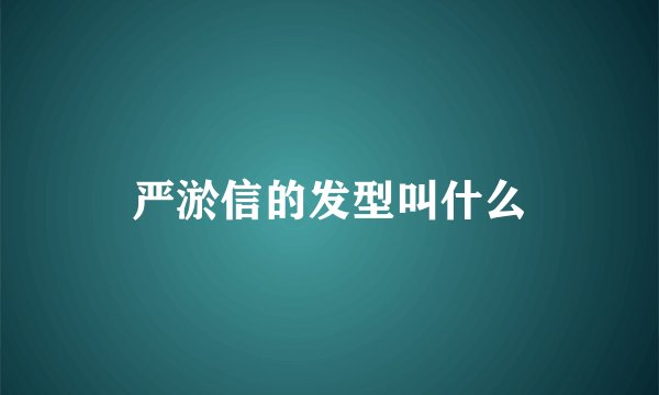 严淤信的发型叫什么