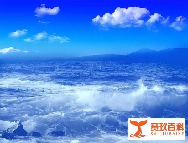 【歌词典藏】‖ 我和我追逐的梦 刘德华原唱