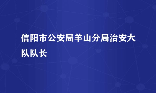 信阳市公安局羊山分局治安大队队长
