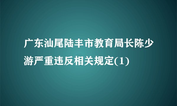 广东汕尾陆丰市教育局长陈少游严重违反相关规定(1)