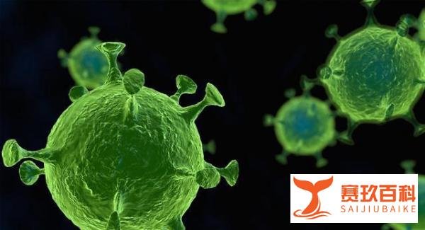 纽约州长说80%的人得了新冠肺炎不用吃药就能自愈是真的吗？