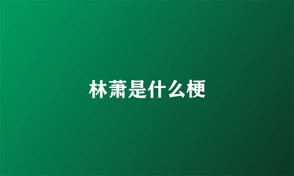 林萧是什么梗