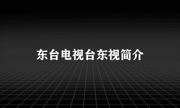 东台电视台东视简介