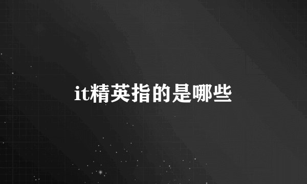 it精英指的是哪些