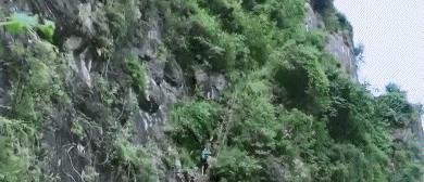 山区求学路，6岁孩子走6万步山路上学，更有孩子拿命上学