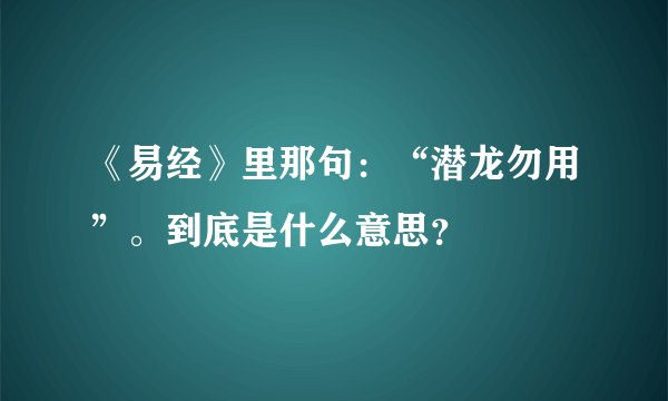 《易经》里那句：“潜龙勿用”。到底是什么意思？