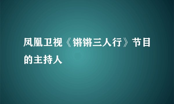 凤凰卫视《锵锵三人行》节目的主持人