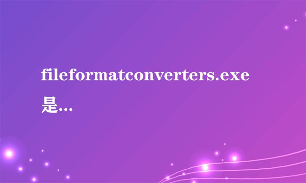 fileformatconverters.exe是什么意思