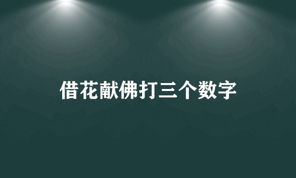 借花献佛打三个数字