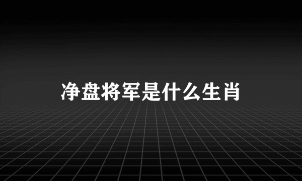 净盘将军是什么生肖
