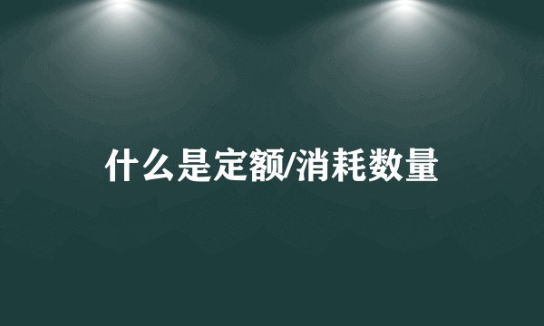 什么是定额/消耗数量