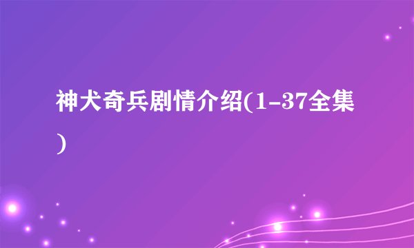 神犬奇兵剧情介绍(1-37全集)