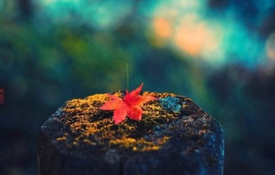你知道哪些关于秋分节气的诗词?