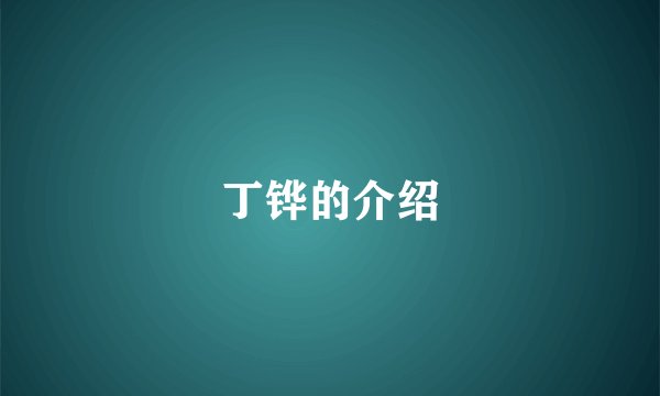 丁铧的介绍