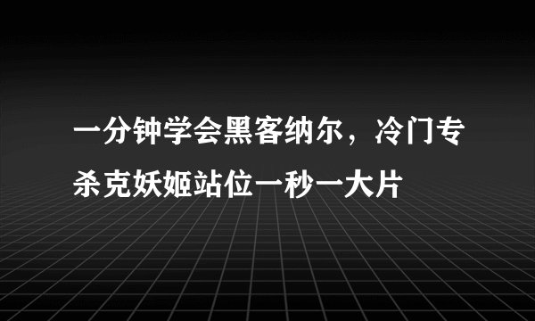 一分钟学会黑客纳尔，冷门专杀克妖姬站位一秒一大片