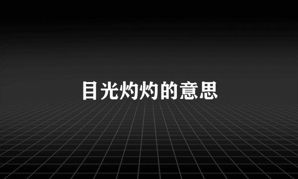 目光灼灼的意思