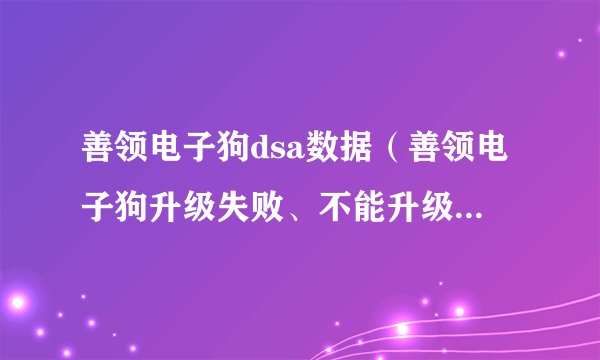 善领电子狗dsa数据（善领电子狗升级失败、不能升级怎么办）