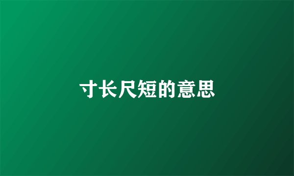 寸长尺短的意思