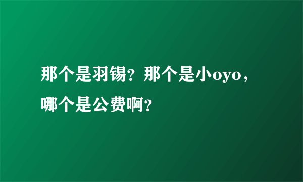 那个是羽锡？那个是小oyo，哪个是公费啊？