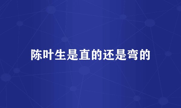 陈叶生是直的还是弯的