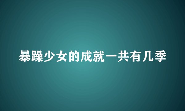 暴躁少女的成就一共有几季