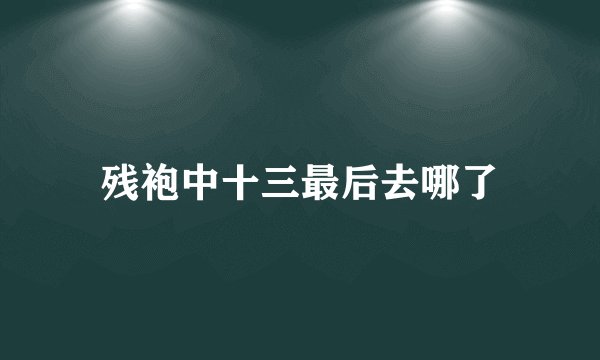 残袍中十三最后去哪了