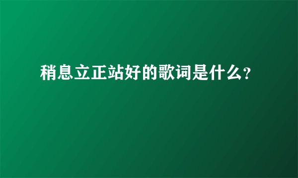 稍息立正站好的歌词是什么?
