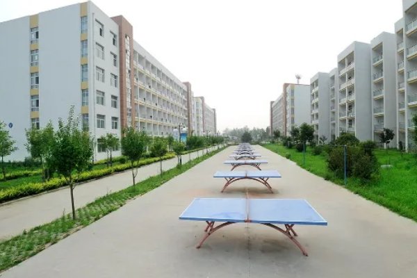 山东公立专科学校排名