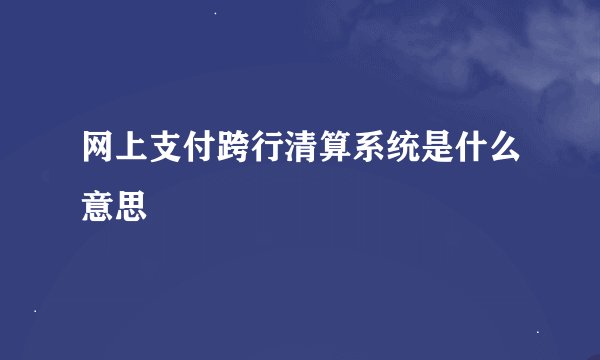 网上支付跨行清算系统是什么意思
