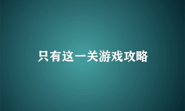 只有这一关游戏攻略