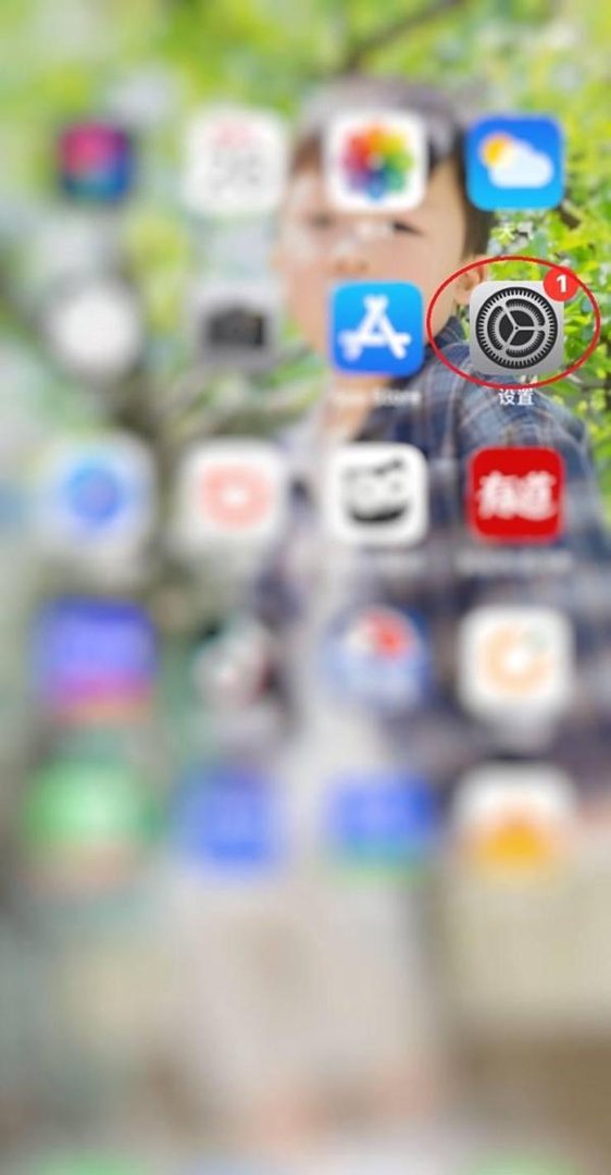 App store(苹果商店)打不开怎么办