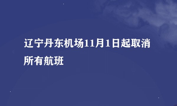 辽宁丹东机场11月1日起取消所有航班