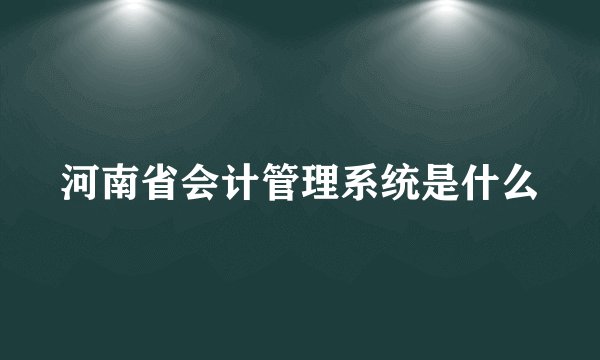 河南省会计管理系统是什么