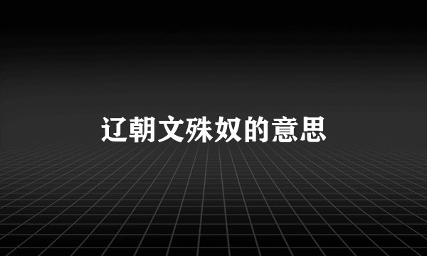 辽朝文殊奴的意思