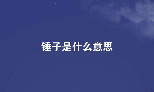 锤子是什么意思