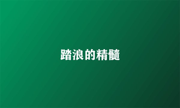 踏浪的精髓