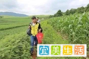 “工地上收到北大通知书“的男孩