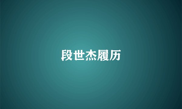 段世杰履历