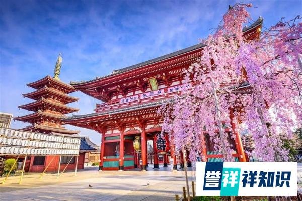 真香！日本竟然开始对中国游客开启网上签证！