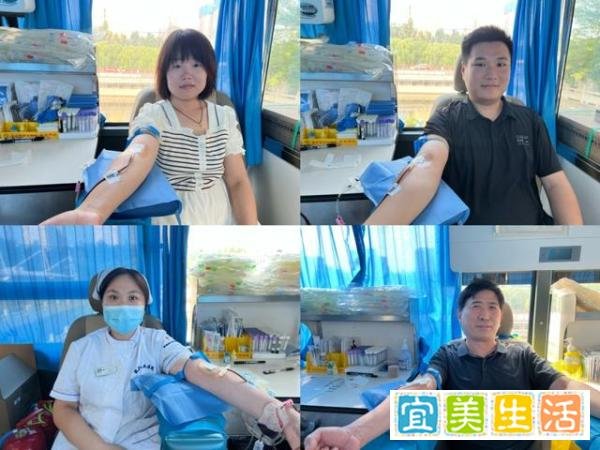 爱心接力—— 德州市陵城区卫健系统开展无偿献血活动
