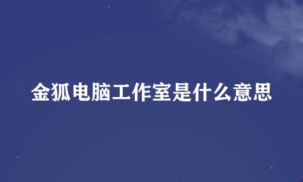 金狐电脑工作室是什么意思