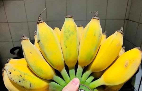 男子拉一车苹果蕉走绿通被拒!工作人员:这不是香蕉,收费1066元