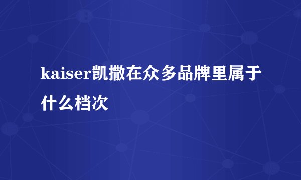 kaiser凯撒在众多品牌里属于什么档次
