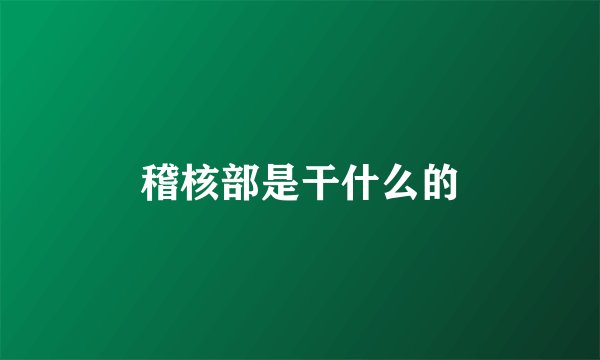 稽核部是干什么的