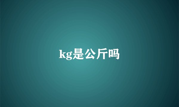 kg是公斤吗